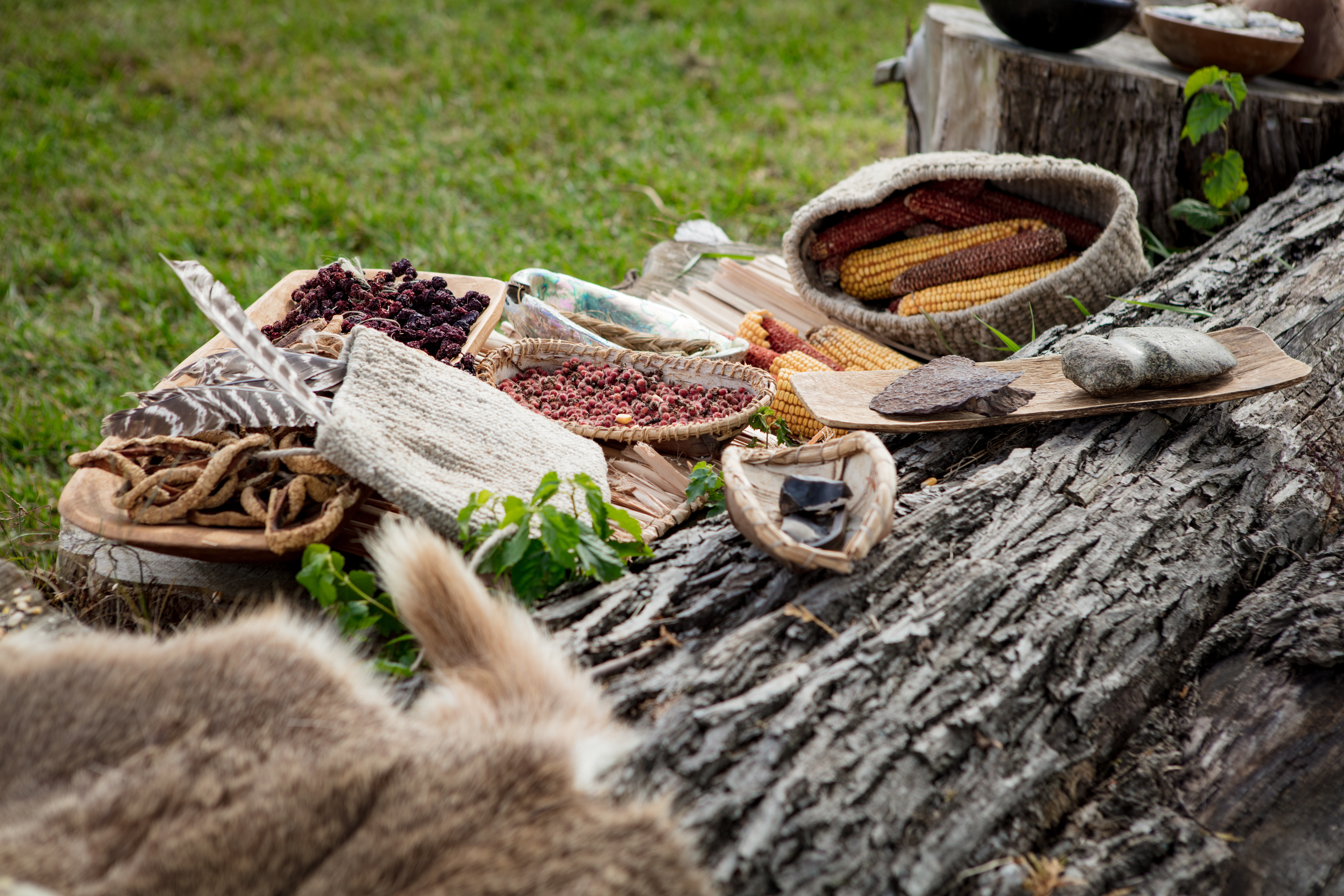 Nourishing Roots: A Journey into Traditional Foods and the Impact of Colonization