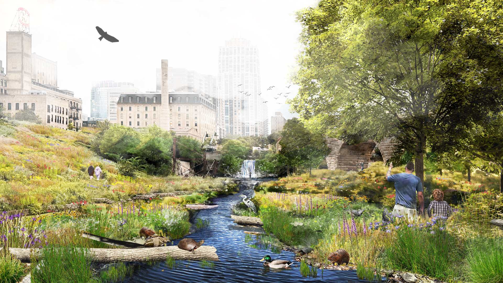 Design unveiled for the land, water and bluff near Owámniyomni (St. Anthony Falls) in Minneapolis